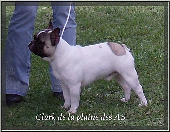 Clark De la plaine des as