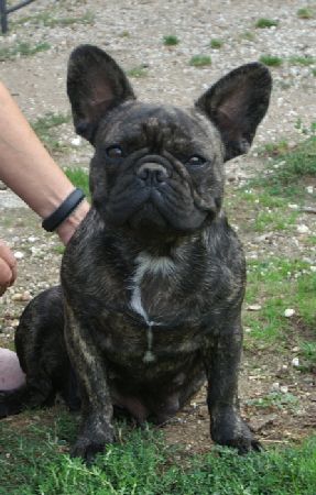 Tatiana De la plaine des as