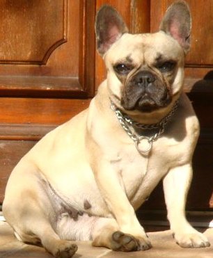 Bella De la plaine des as